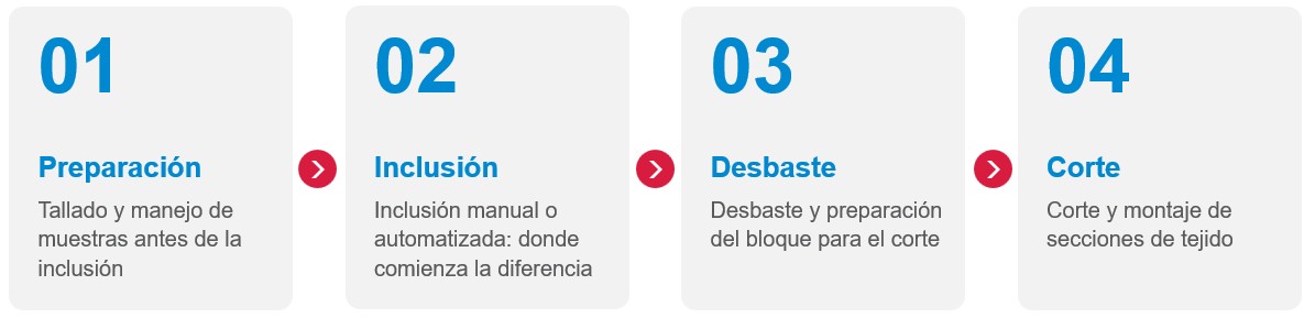 Sakura-Pathologica-Process-ES