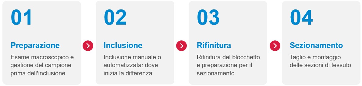 Sakura-Pathologica-Process-IT