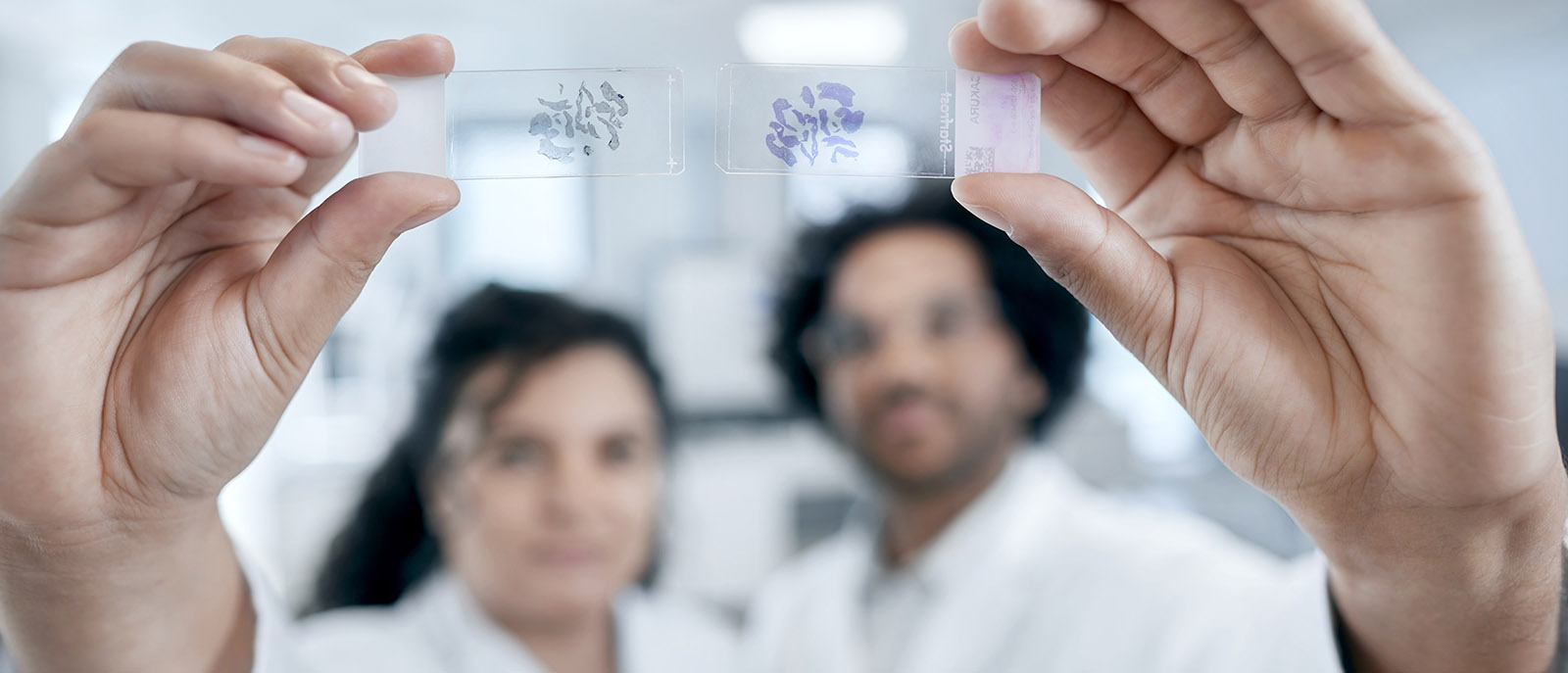Advanced Staining solution
