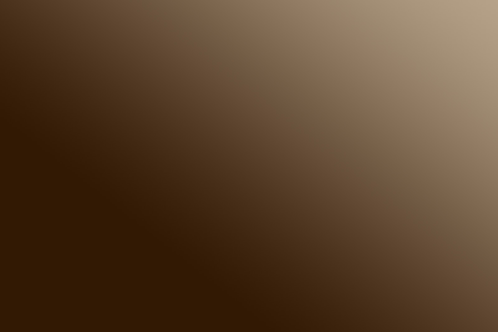 brown-pallete-background-1600x1068.jpg